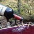 Алкогольные SPA-процедуры: Здоровье под градусом